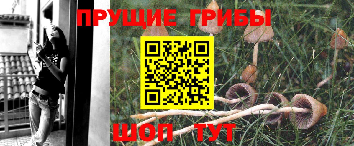 Галлюциногенные грибы мицелий Красноуфимск