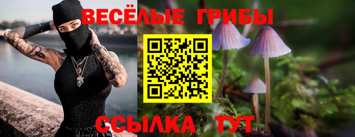 Псилоцибиновые грибы мухоморы  Вход с VPN  Красноуфимск 
